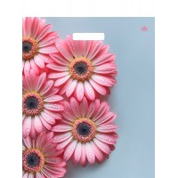 Пакет ламинированный с вырубной ручкой 450*380*60  Герберы Шанис цена за 50шт!